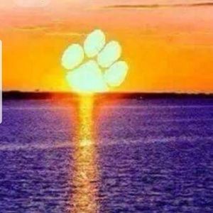 Meet your Posher, Corey